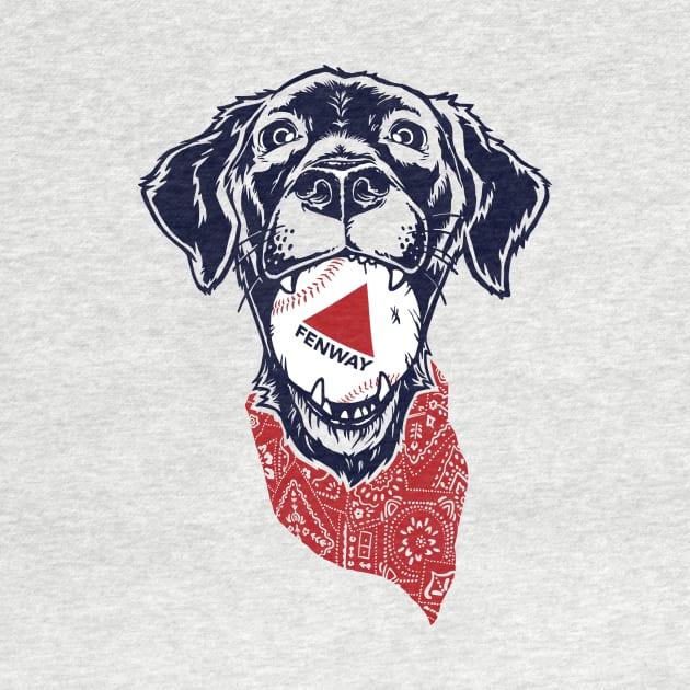 Fenway Baseball Dog by FRGStudios2020